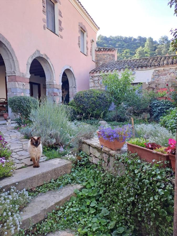 B&B S'Omu Antiga Nureci Exterior photo