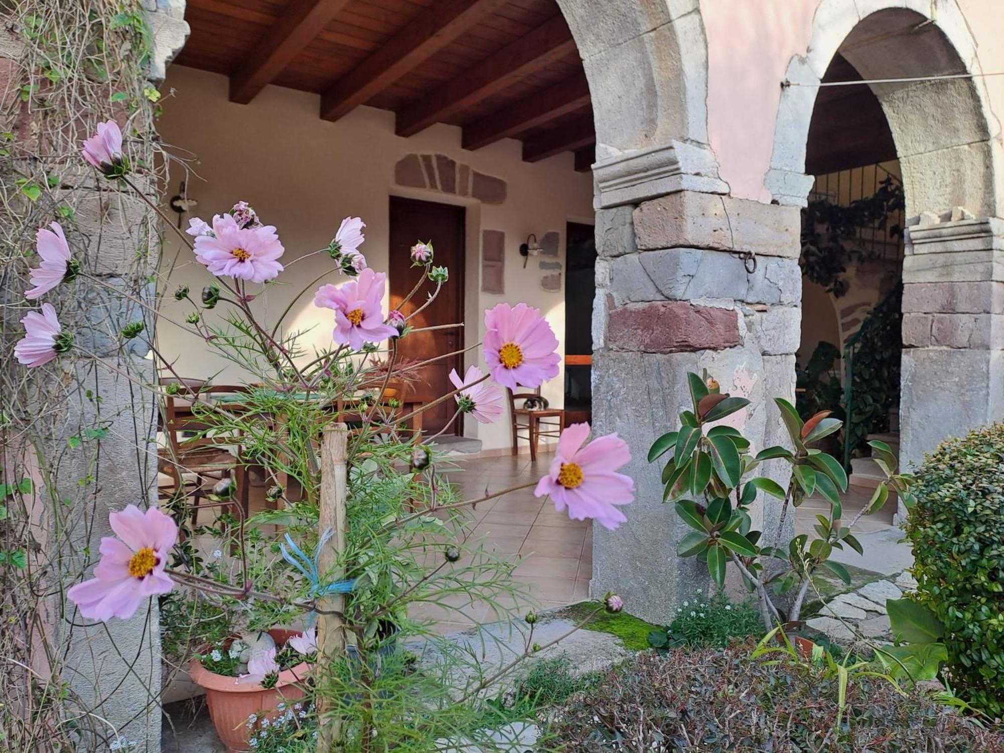 B&B S'Omu Antiga Nureci Exterior photo